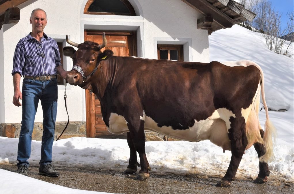 Über 100.000 Liter Lebensleistung