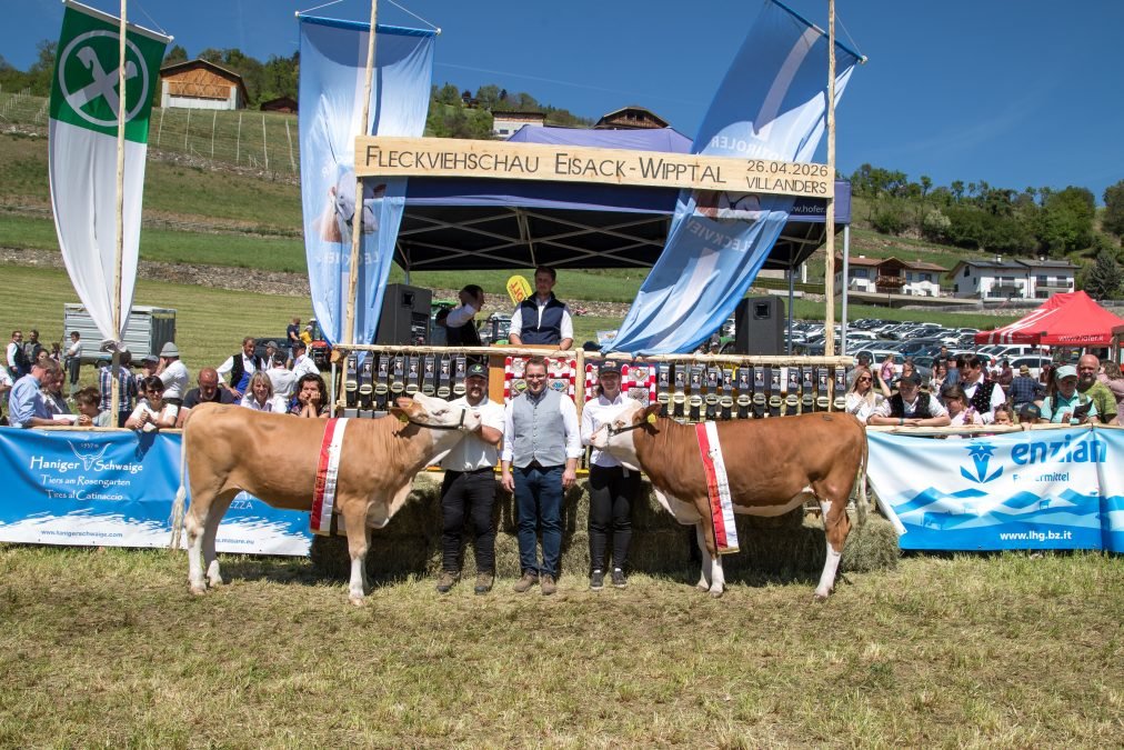 Fleckviehschau Eisacktal – Wipptal 26. April 2026