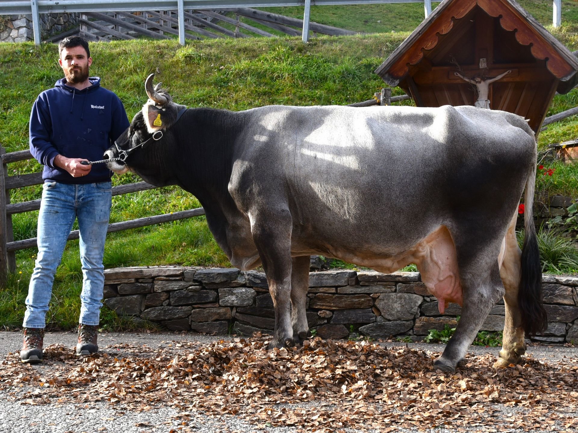 Über 70.000 Liter Lebensleistung