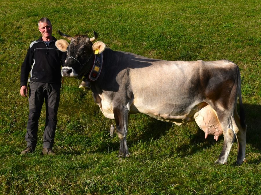 Über 70.000 Liter Lebensleistung