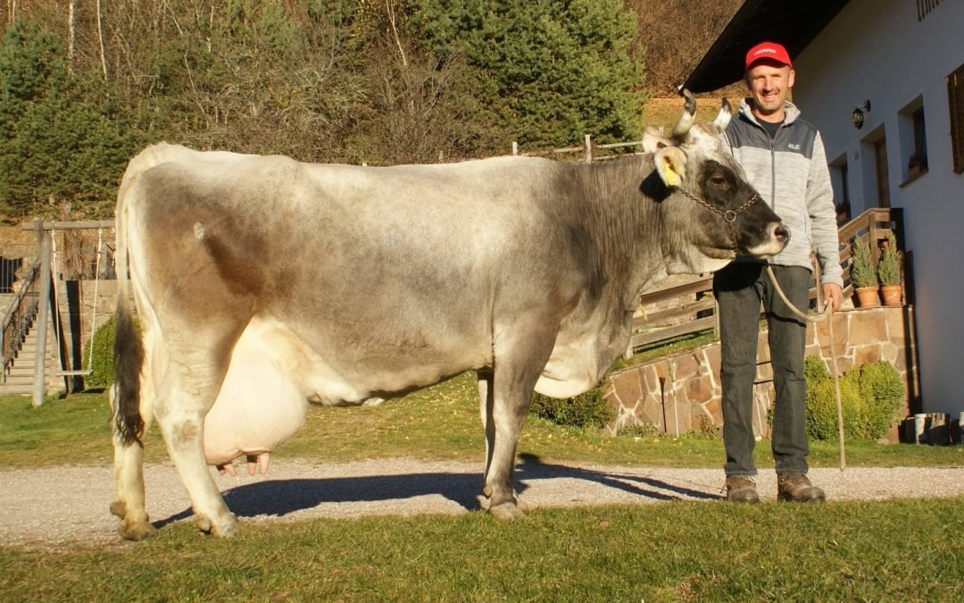 Über 70.000 Liter Lebensleistung