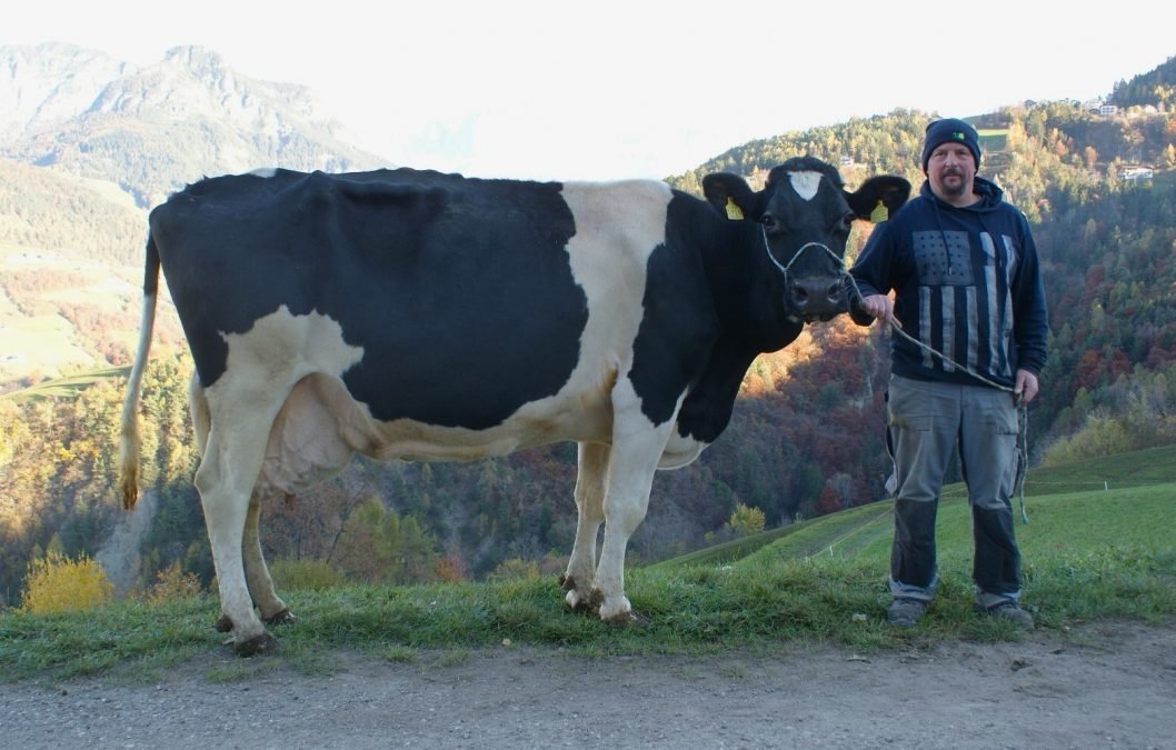 Über 100.000 Liter Lebensleistung