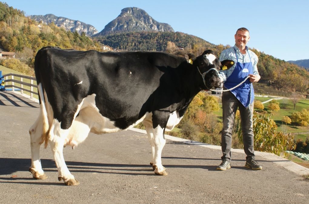 Über 100.000 Liter Lebensleistung