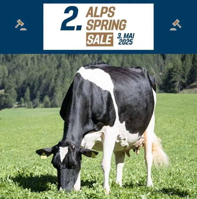 2. ALPS SPRING SALE 2025