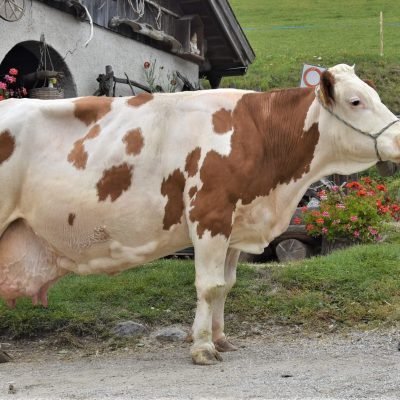 Bianca beim Besuch in Herbst 2021 mit Urlaubskind Matz