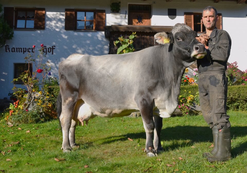 Über 70.000 Liter Lebensleistung