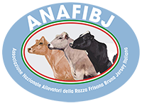 http://www.anafi.it