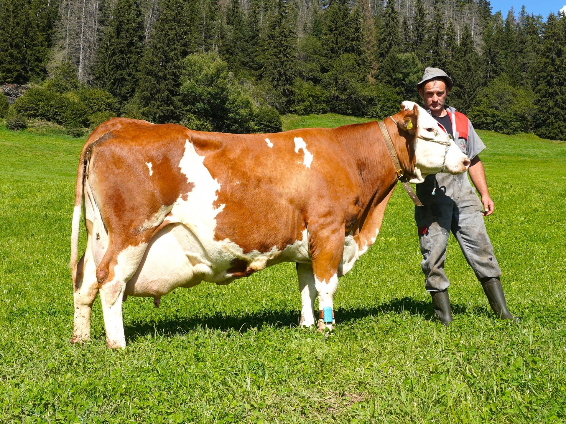 Über 100.000 Liter Lebensleistung
