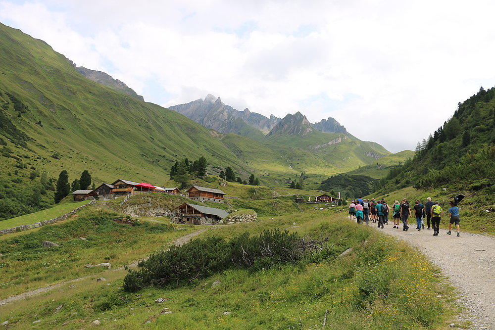 Pinzgauer Almwandertag 2025