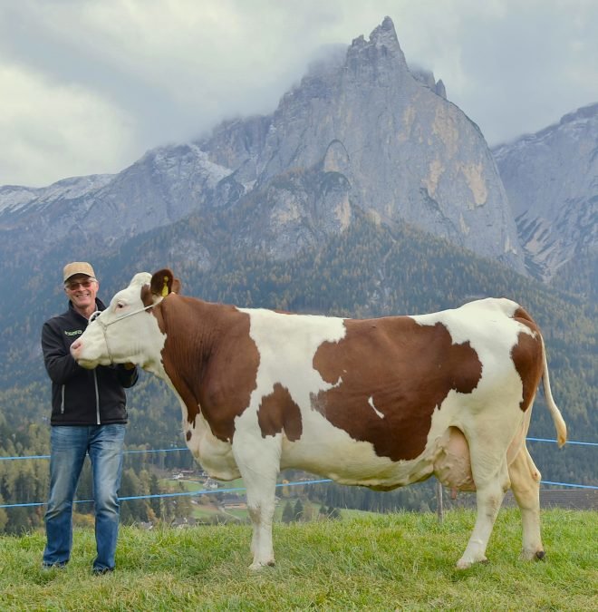 Über 100.000 Liter Lebensleistung
