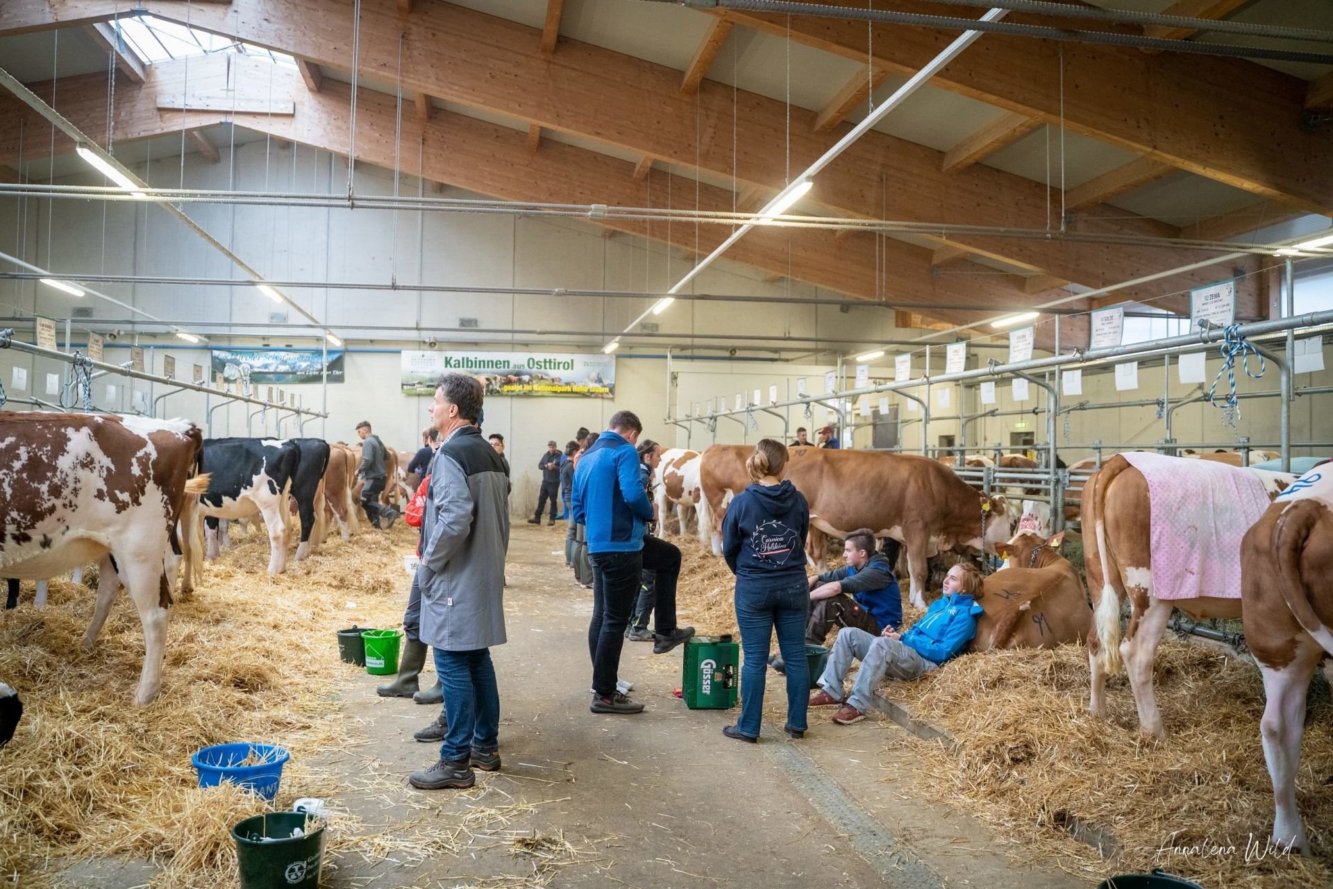 Jungzüchterevent am 28. Oktober 2023 in Lienz