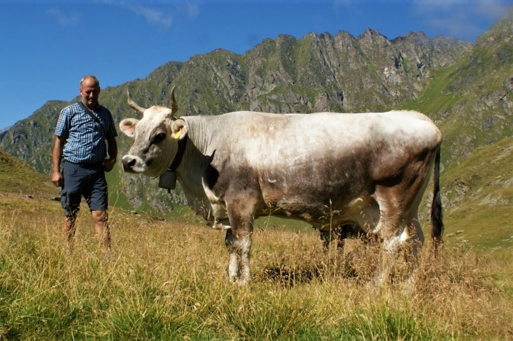Über 70.000 Liter Lebensleistung