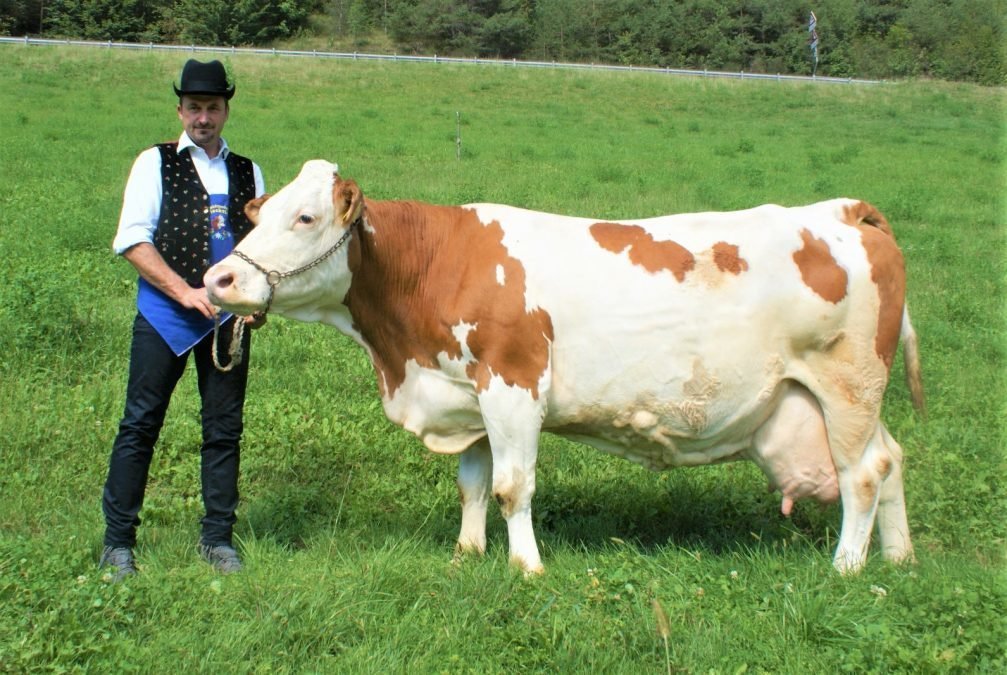 Über 100.000 Liter Lebensleistung