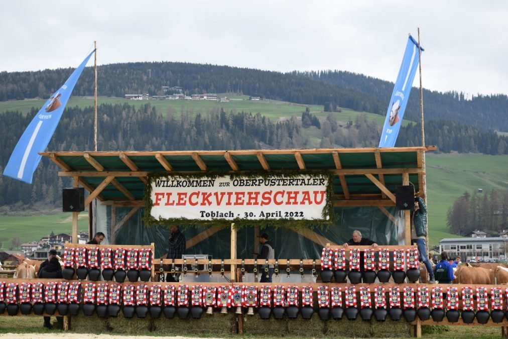 Gebietsausstellung Fleckvieh und Pustertaler Sprinzen in Toblach am 30. April 2022