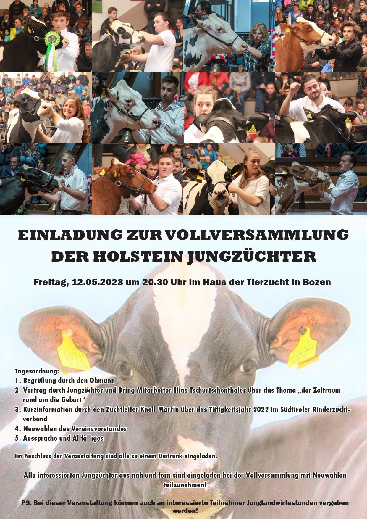 Einladung zur Vollversammlung der Holstein Jungzüchter