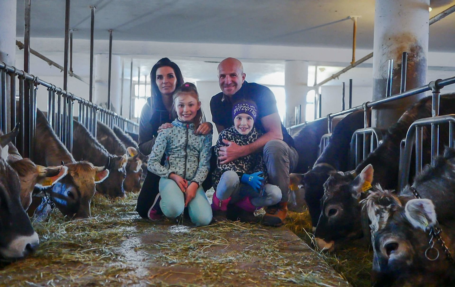 Grauvieh Export in die Schweiz –  eine 10 jährige Erfolgsgeschichte
