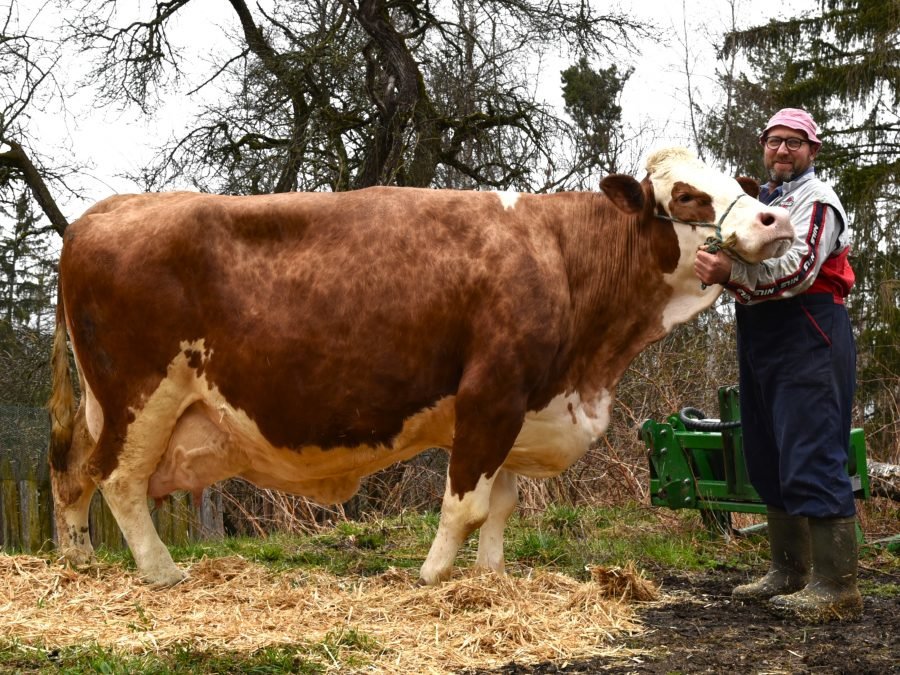 Über 100.000 Liter Lebensleistung