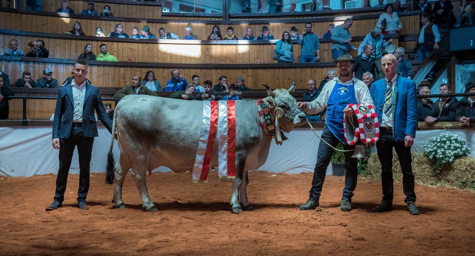 Landesausstellung der Rassen Grauvieh und Holstein in Bozen