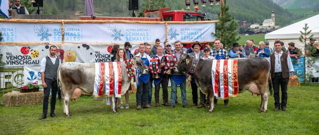 Jubiläumsausstellung Schnals am 03. Mai 2025