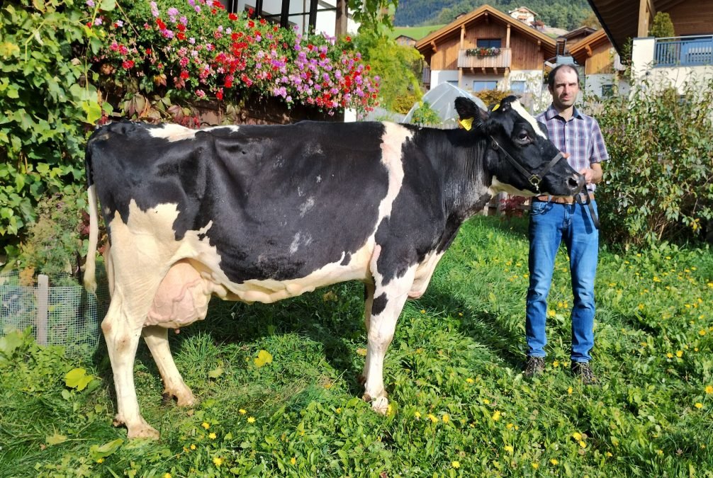 Über 100.000 Liter Lebensleistung