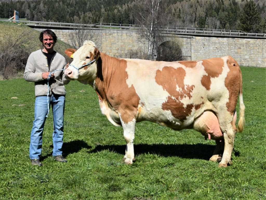 Über 100.000 Liter Lebensleistung