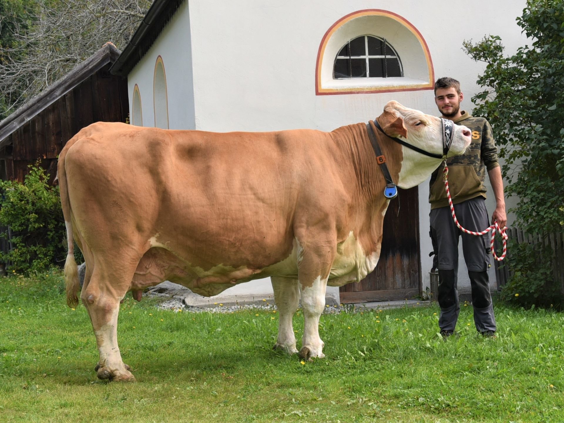 Über 100.000 Liter Lebensleistung