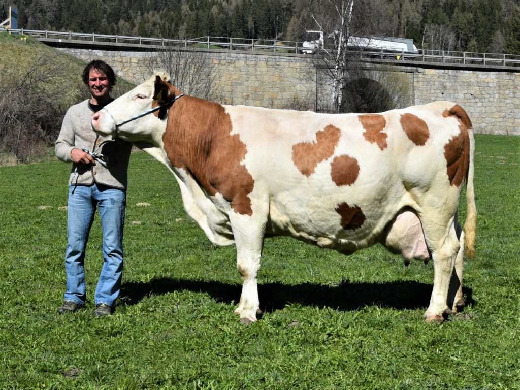 Über 100.000 Liter Lebensleistung