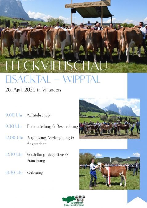 Fleckviehschau Eisacktal-Wipptal am 26. April 2026