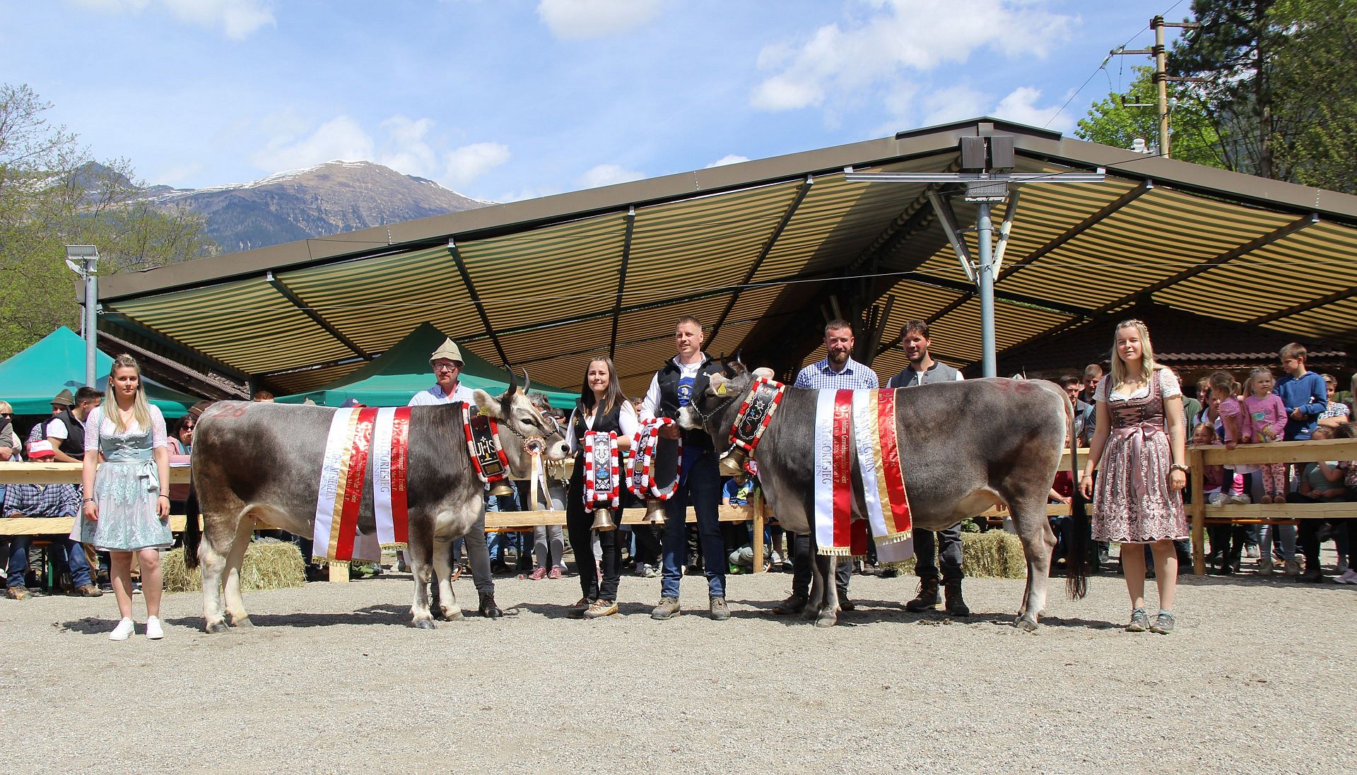 Reihung Jubiläumsschau – Grauviehjungzüchter Passeier 18. April 2026