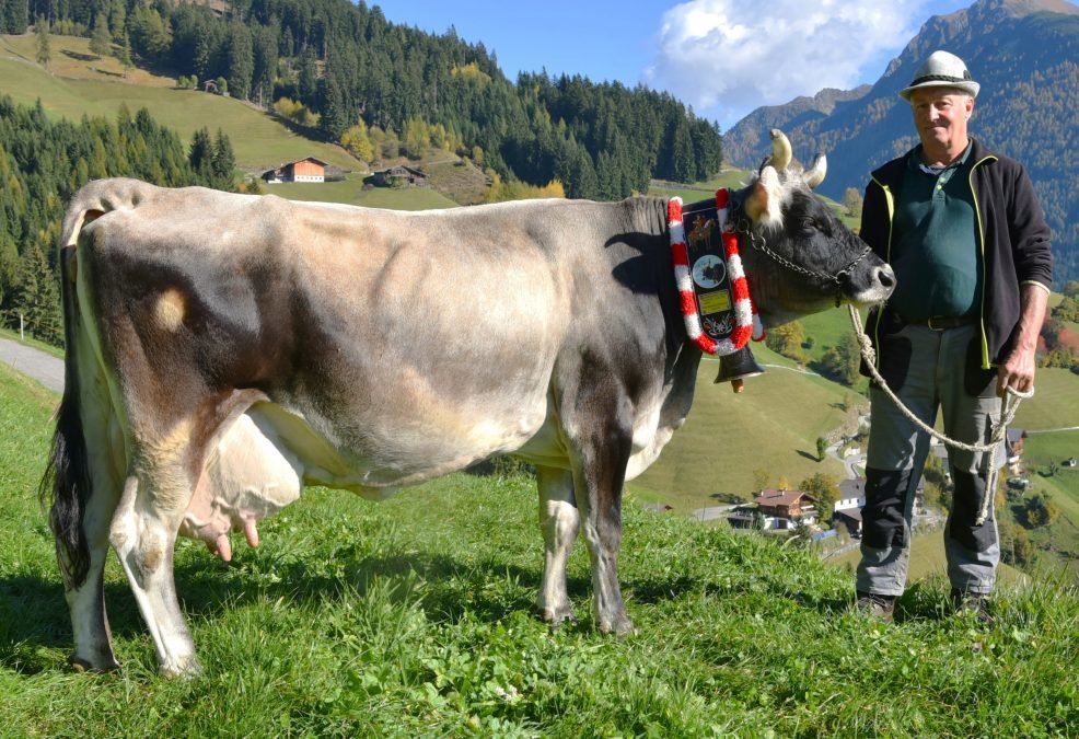 Über 70.000 Liter Lebensleistung