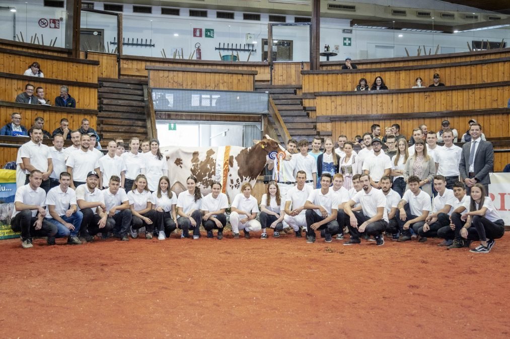 Holstein-Jungzüchter Jubiläumsausstellung am 12. Oktober 2024