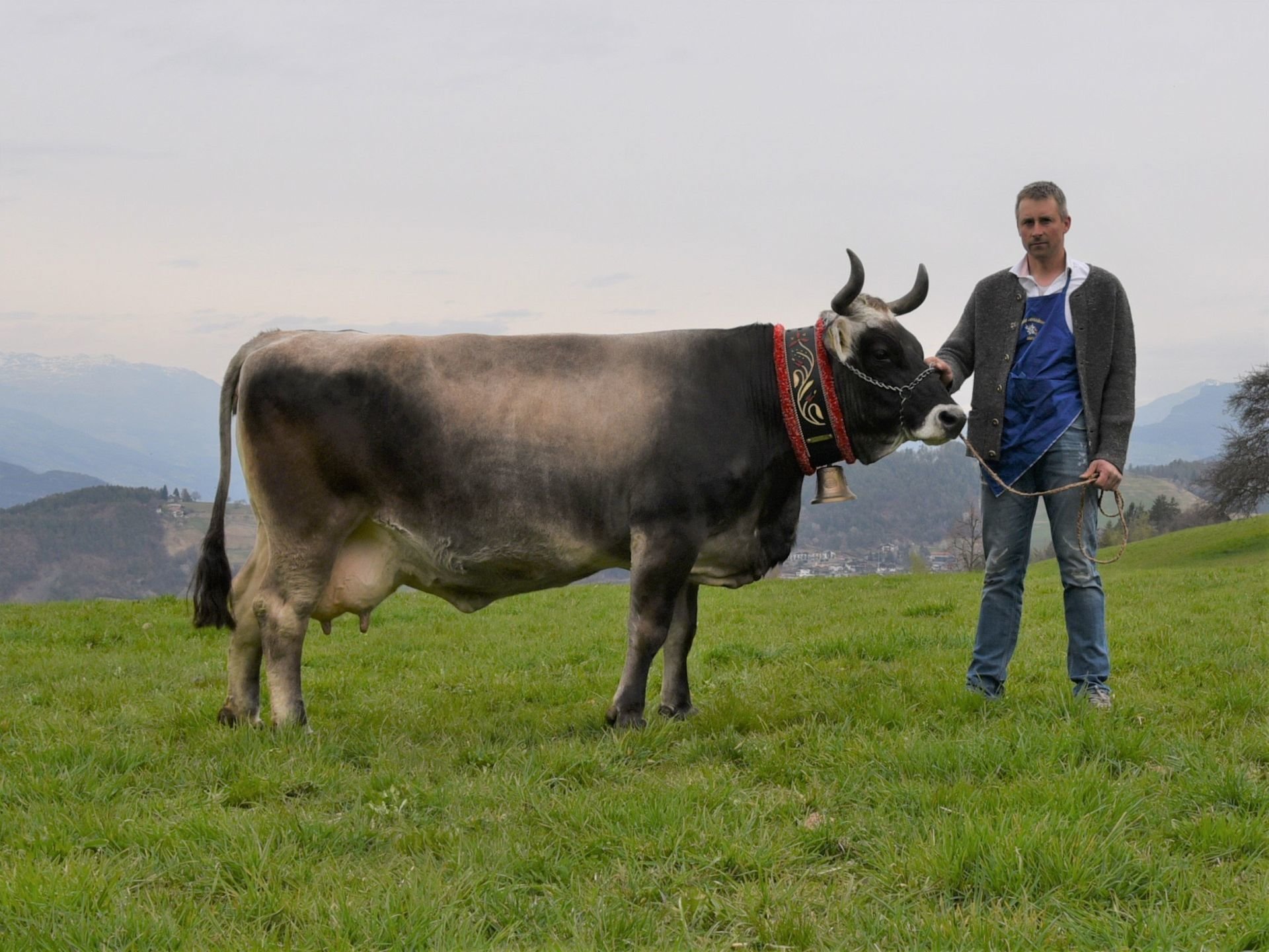 Über 70.000 Liter Lebensleistung