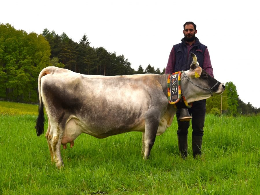 Über 70.000 Liter Lebensleistung