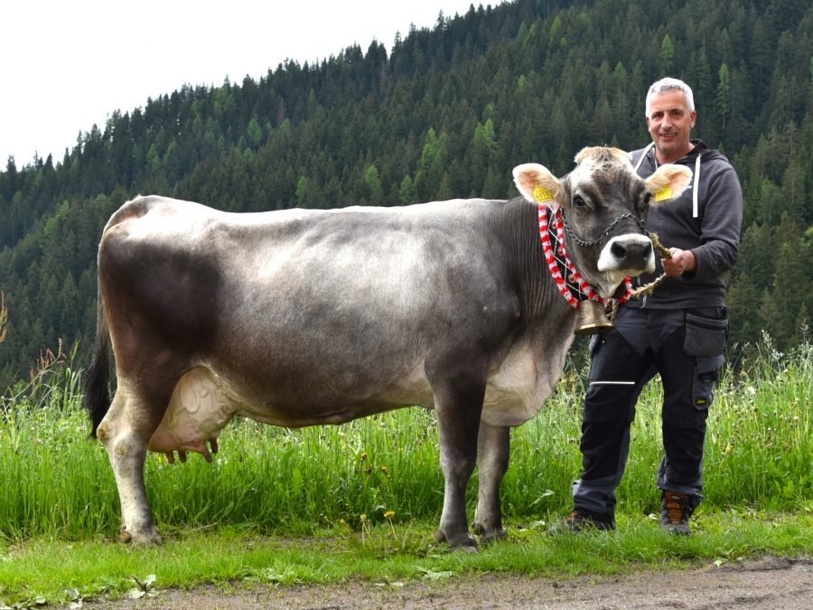Über 70.000 Liter Lebensleistung