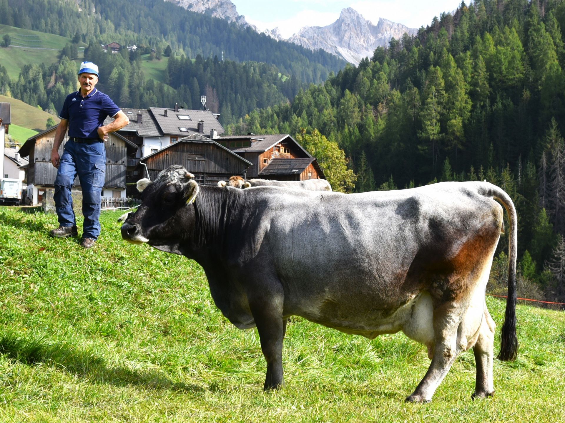 Über 70.000 Kilogramm Milch