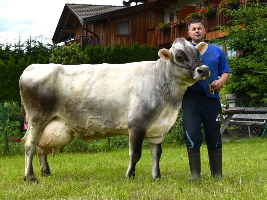 Über 70.000 Liter Lebensleistung