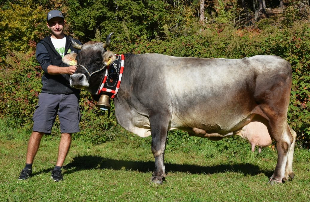 Über 70.000 Liter Lebensleistung