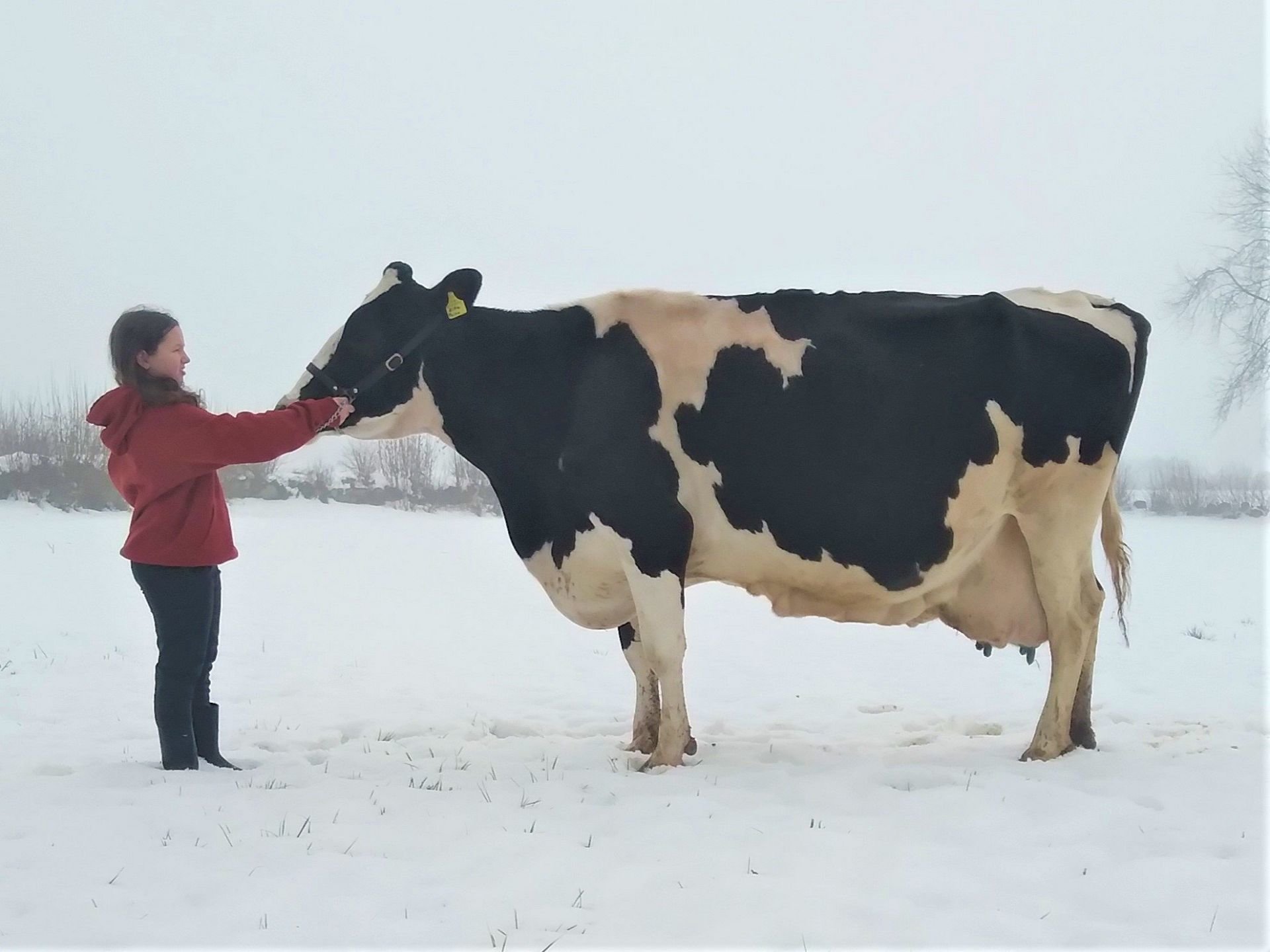 Über 100.000 Liter Lebensleistung