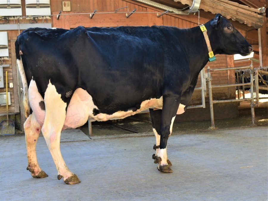 Über 100.000 Liter Lebensleistung