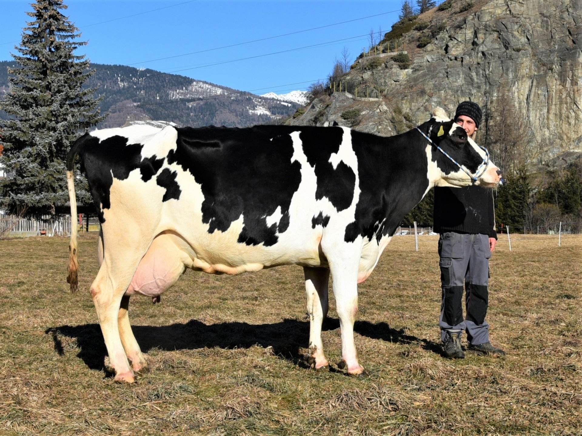 Über 100.000 Liter Lebensleistung