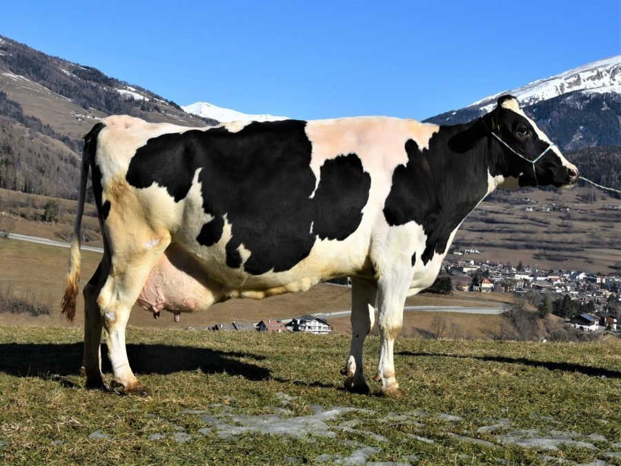 Über 100.000 Liter Lebensleistung