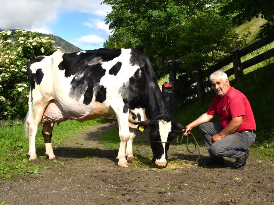 Über 100.000 Liter Lebensleistung