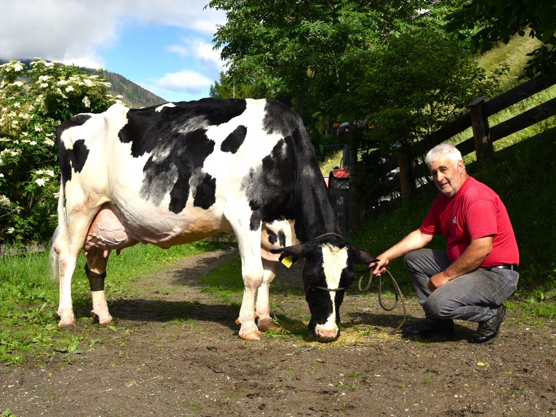 Über 100.000 Liter Lebensleistung