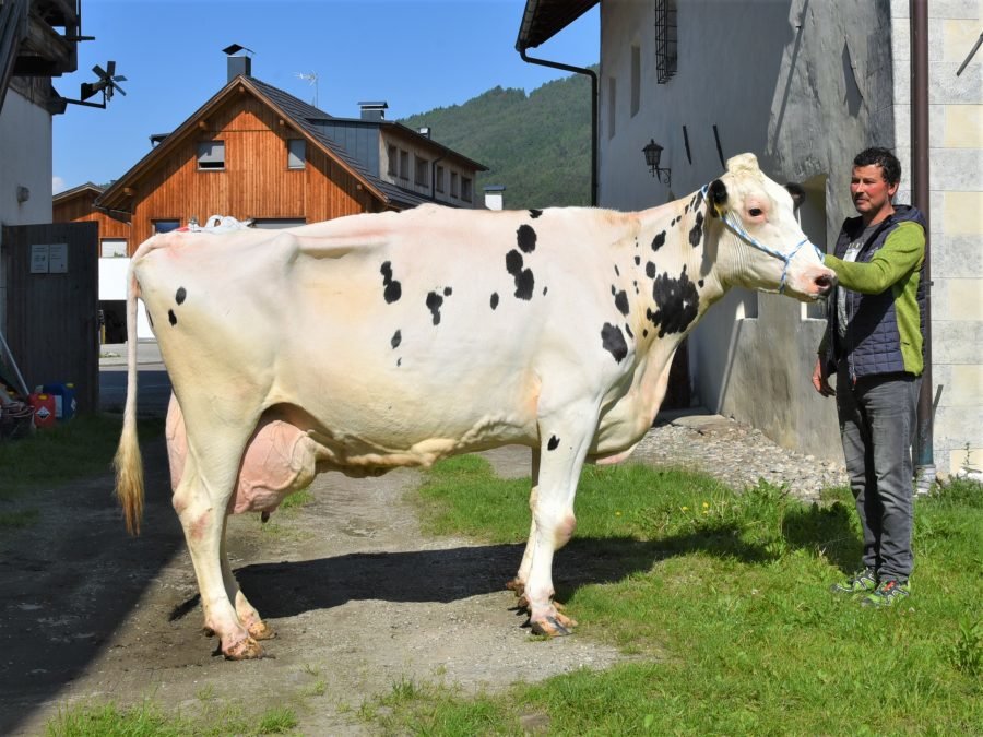 Über 100.000 Liter Lebensleistung