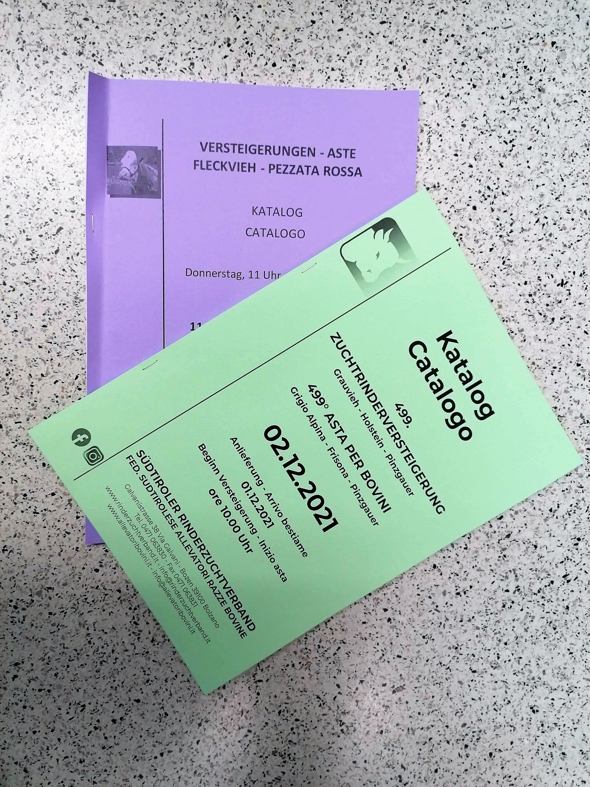 Abonnement Versteigerungskatalog