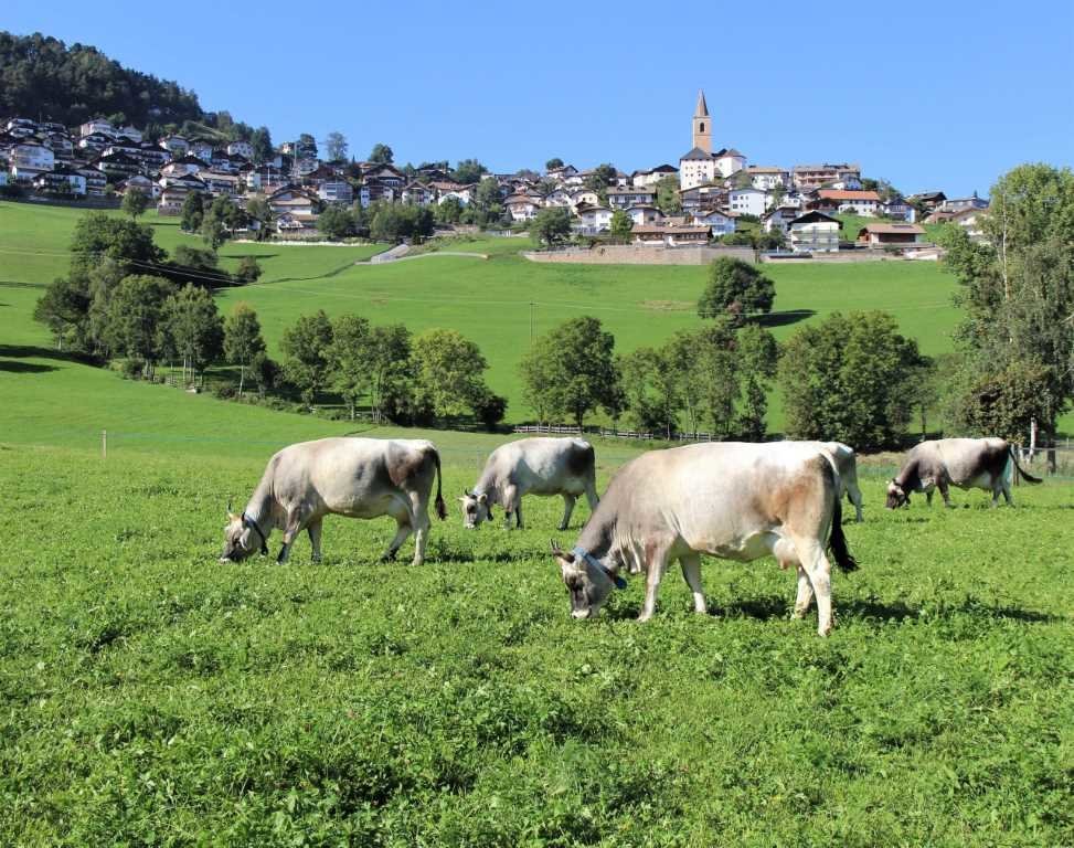 Normeg-Töchter beim Kreuzwegerhof in Jenesien