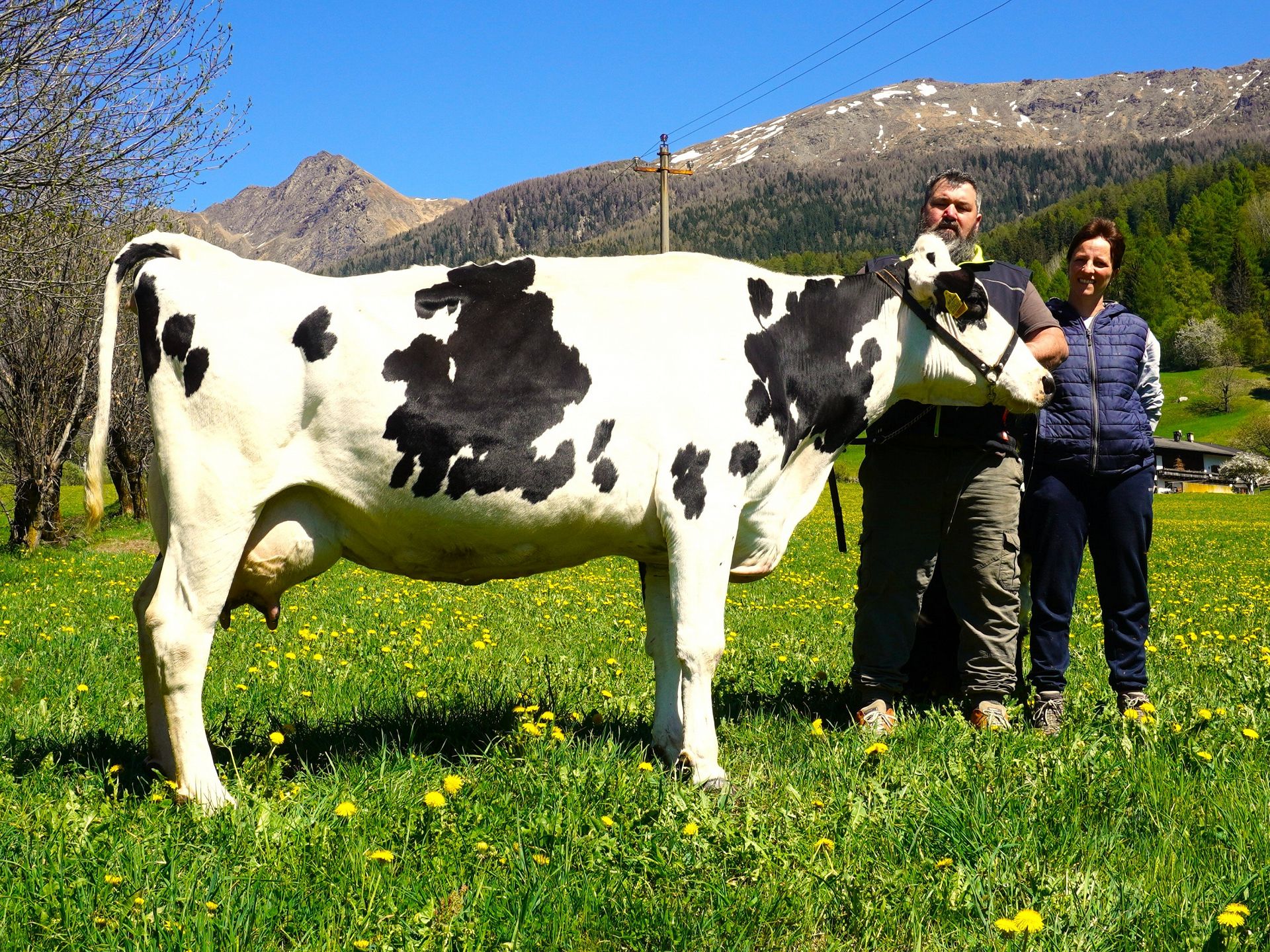 Über 100.000 Liter Lebensleistung