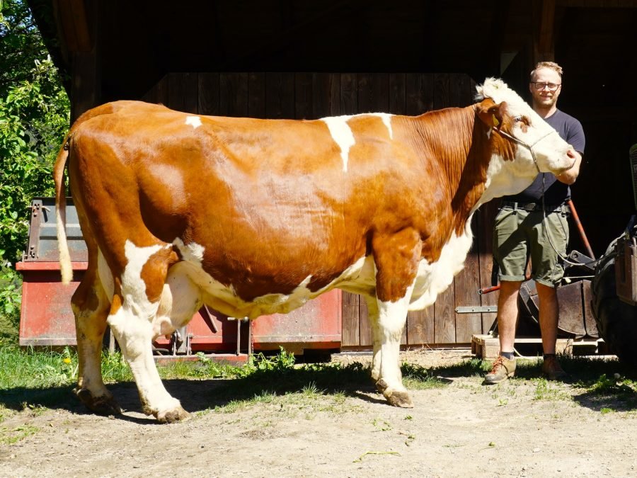 Über 100.000 Liter Lebensleistung