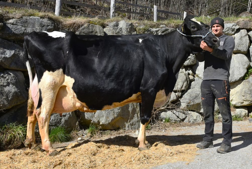 Über 100.000 Liter Lebensleistung