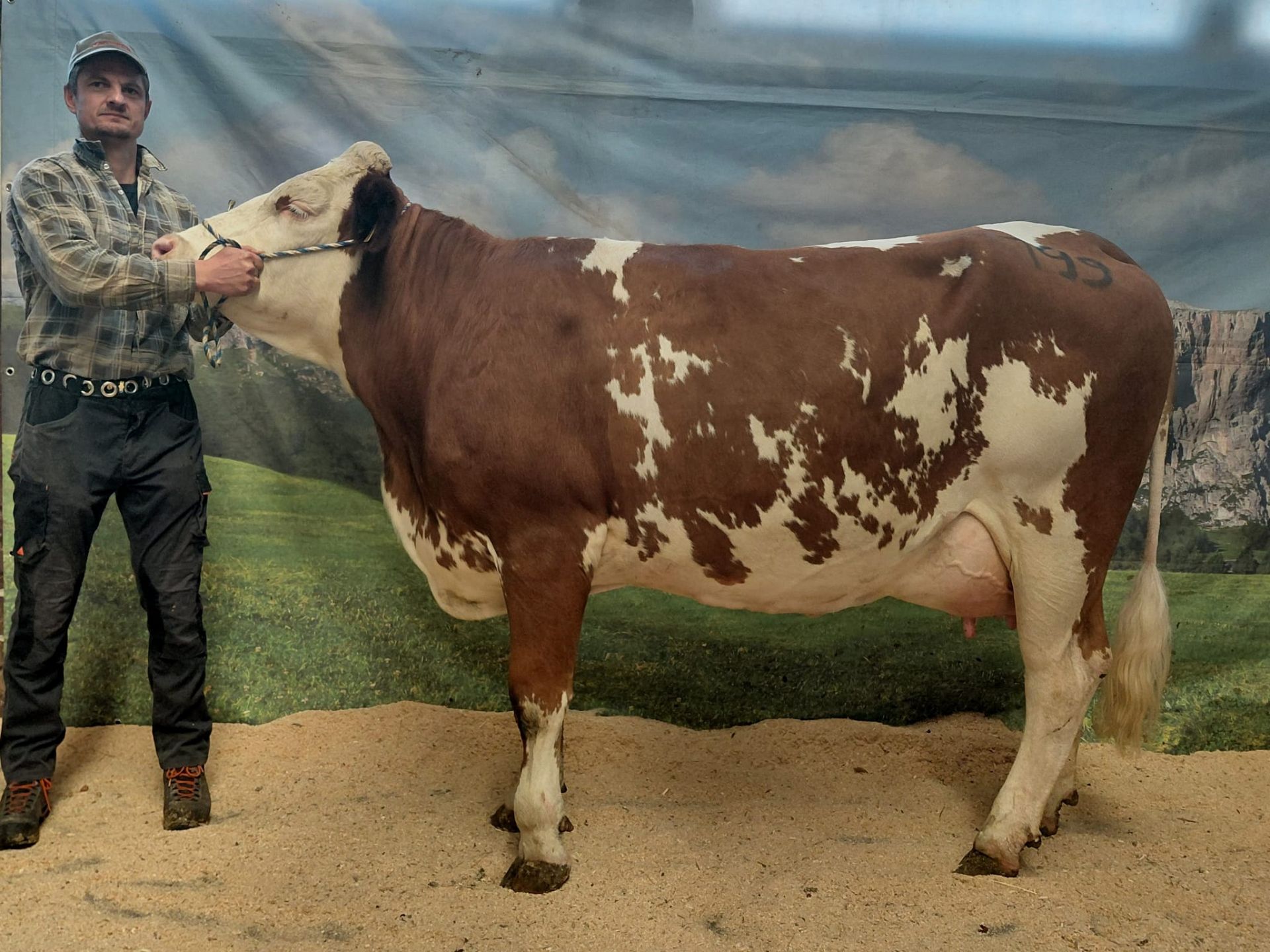 Versteigerungsbericht vom 2. April 2026 in Bozen